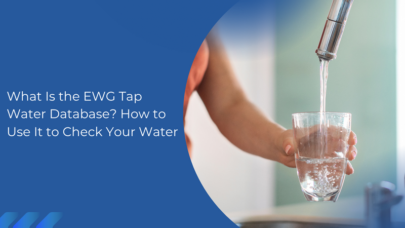 What Is the EWG Tap Water Database? How to Use It to Check Your Water