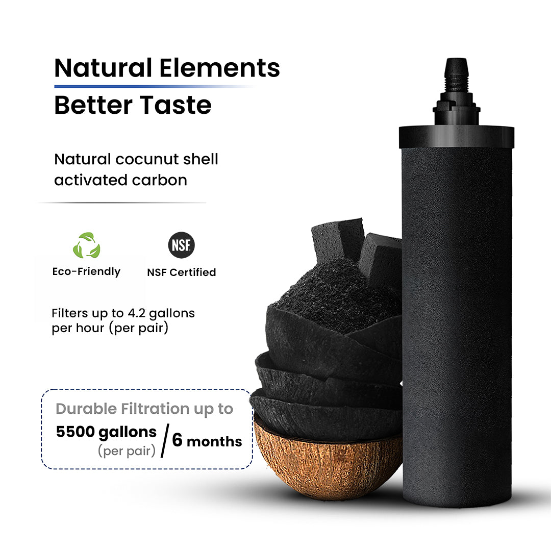Phoenix Gravity Water Filter System Starter Kit
