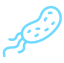 Icon showing filtration protection against waterborne parasites