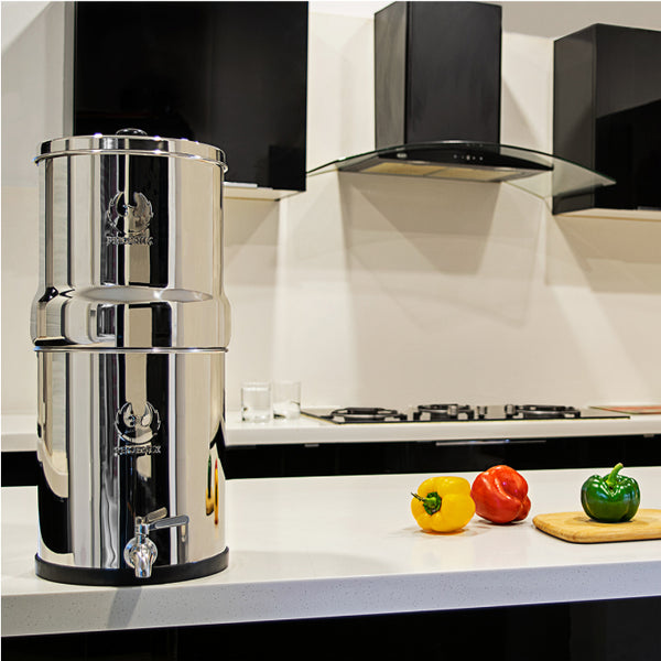Phoenix water filter shown in a modern kitchen setting