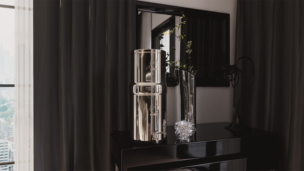 Phoenix countertop water filter system shown with accessories and components