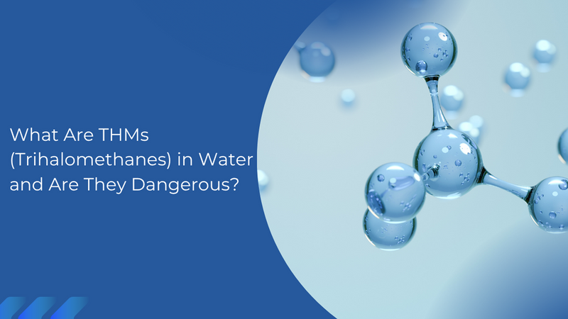What Are THMs (Trihalomethanes) in Water and Are They Dangerous?