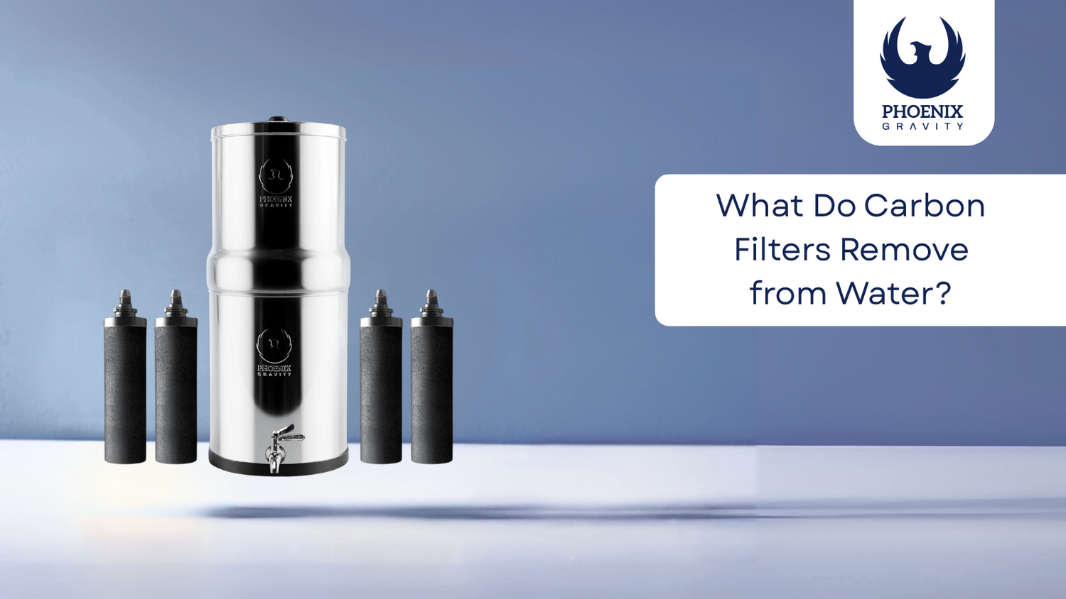 What Does a Carbon Filter Do?