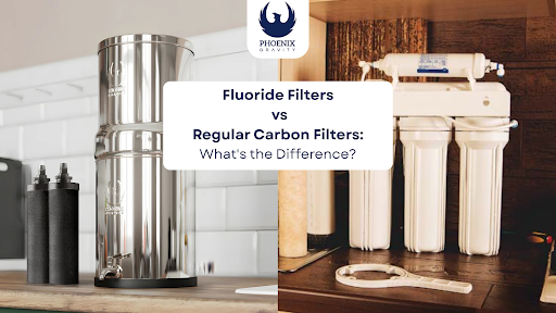 Fluoride Removal Filters vs Carbon Filters: What's the Difference?