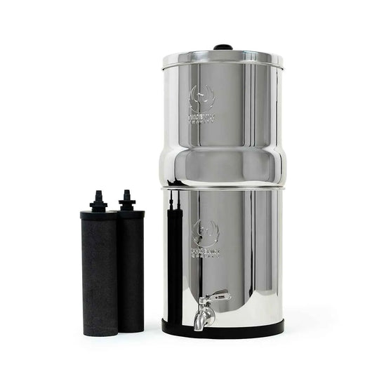 Phoenix Gravity stainless steel water filter with carbon filter elements