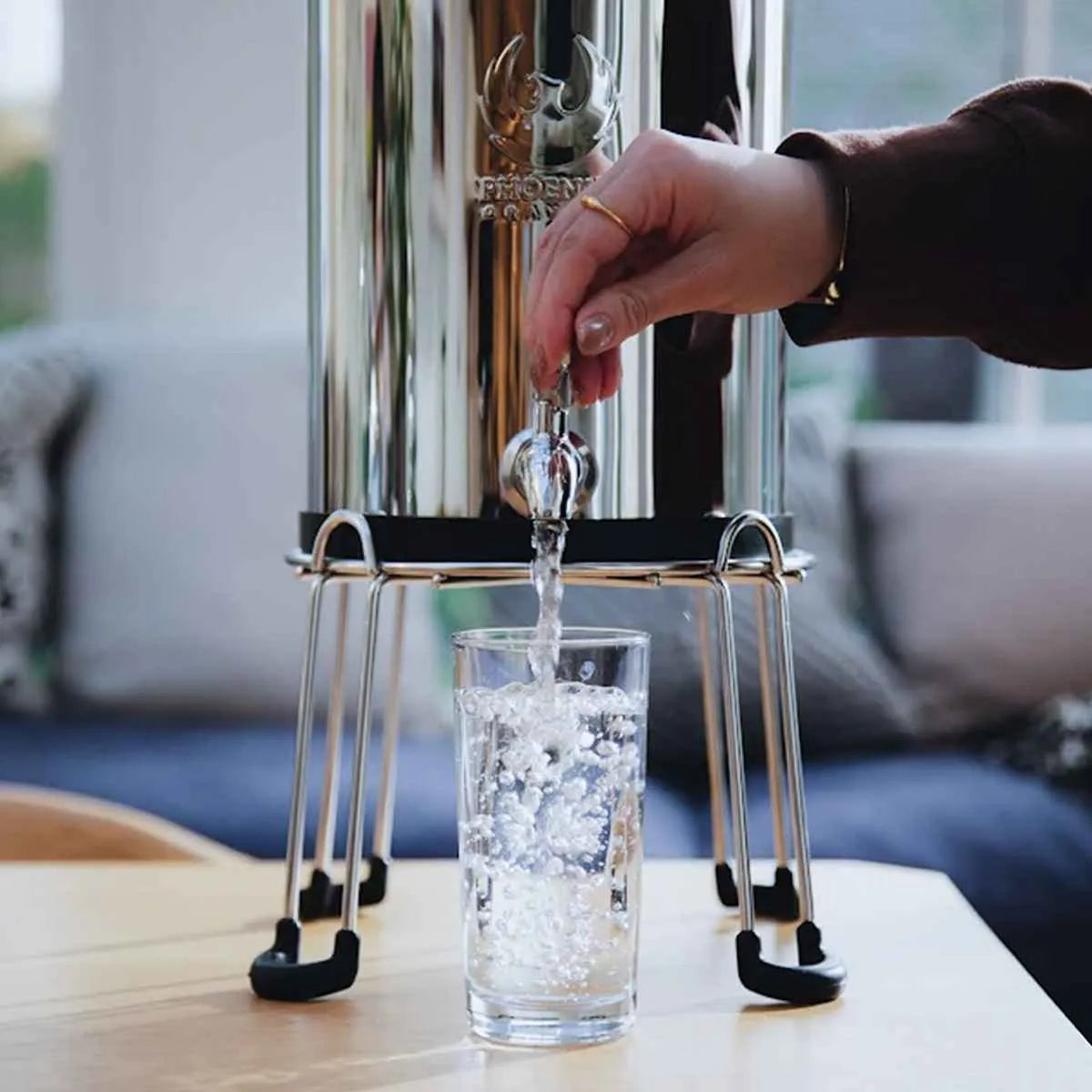 Phoenix Gravity Water Filter System