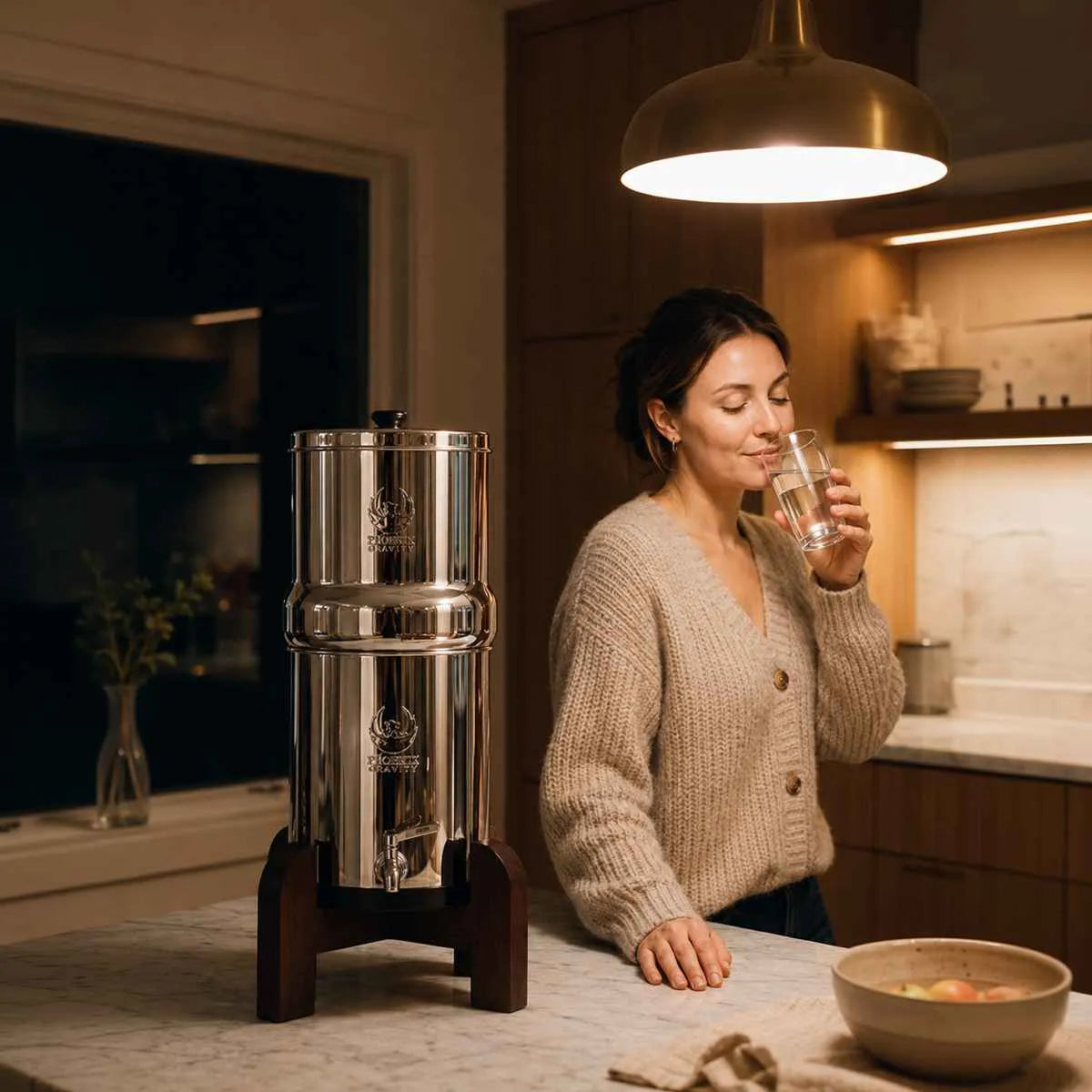 Phoenix Gravity Water Filter System