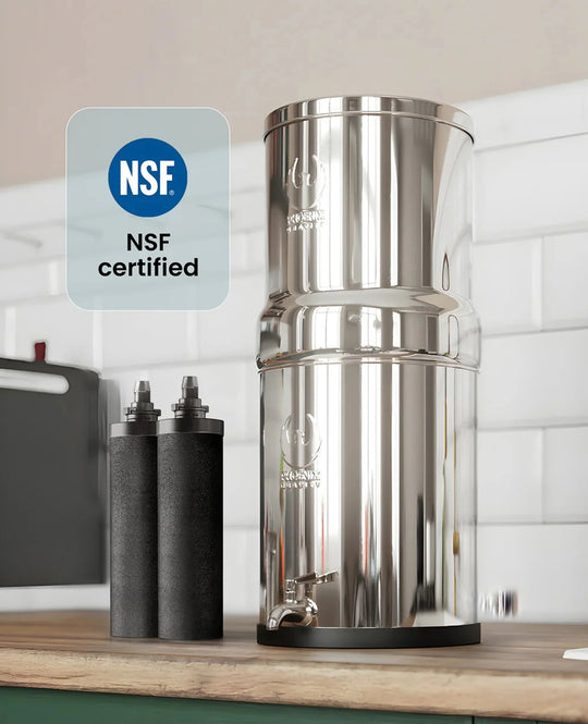 Phoenix Gravity water filter with NSF certified carbon filter elements