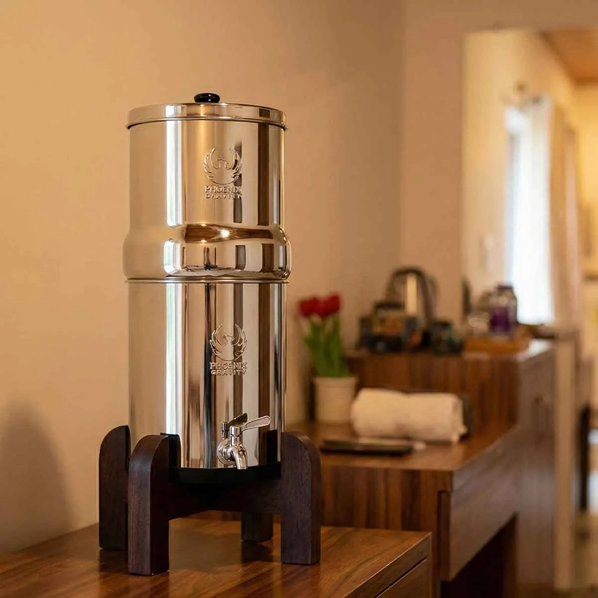 Phoenix Gravity Water Filter System