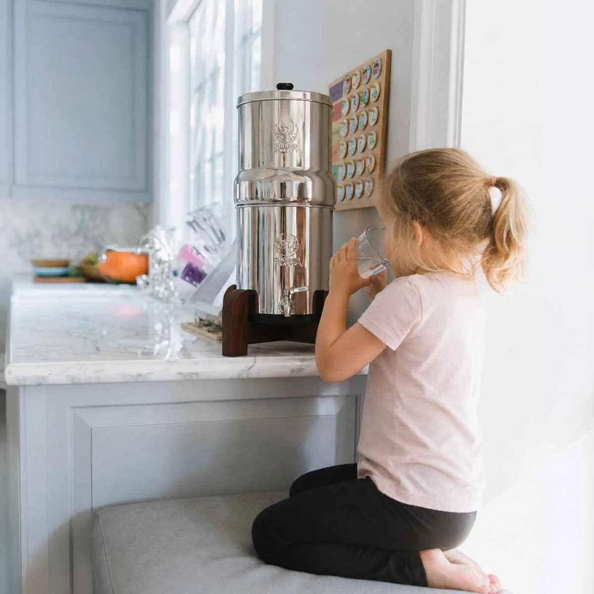 Phoenix Gravity Water Filter System