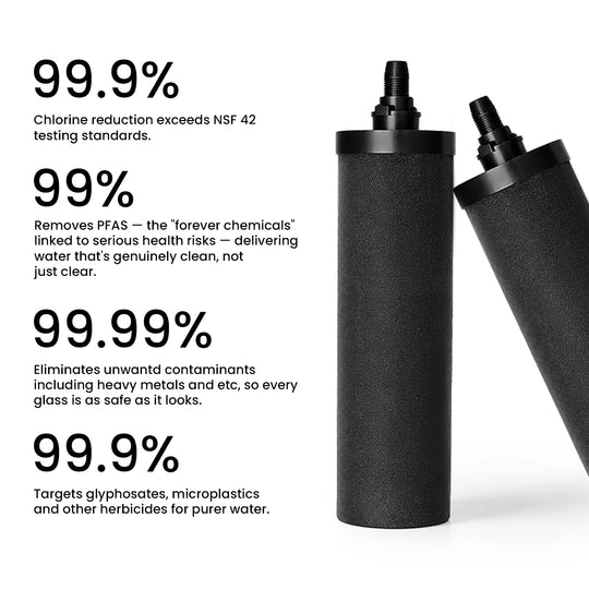 Phoenix Gravity Water Filter System