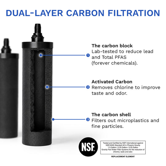 Phoenix Gravity Water Filter System