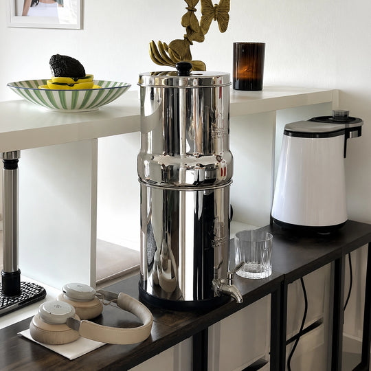 Phoenix Gravity Water Filter System