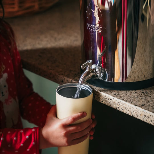 Phoenix Gravity Water Filter System